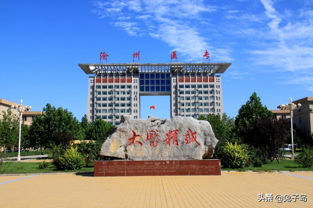 2023年河北省高职院校排名，沧州医学高等专科学校领跑