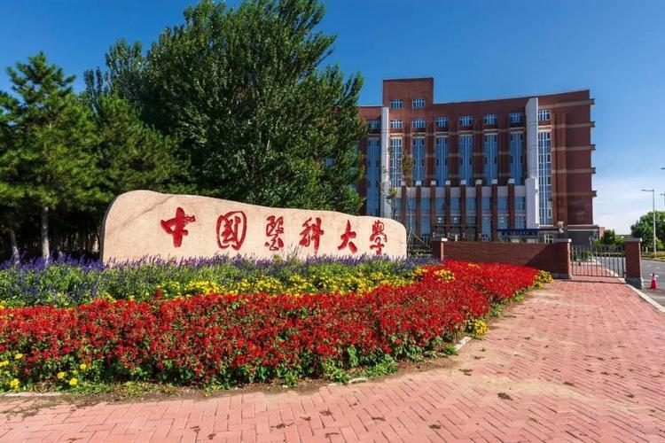 辽宁高校2023年学术排名：大连理工大学实力顶尖，中国医科大第3