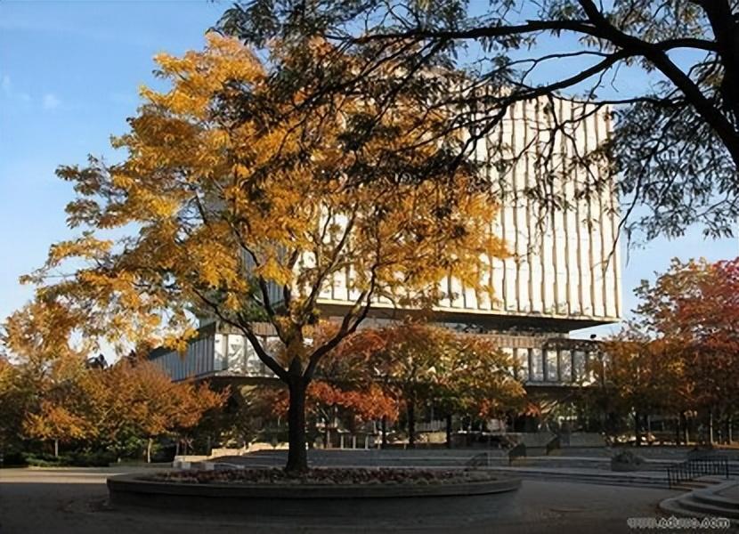 滑铁卢大学——是一所公立研究型大学，北美地区最优大学之一