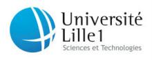 里尔大学——创立于1562年，法国著名的综合性公立大学